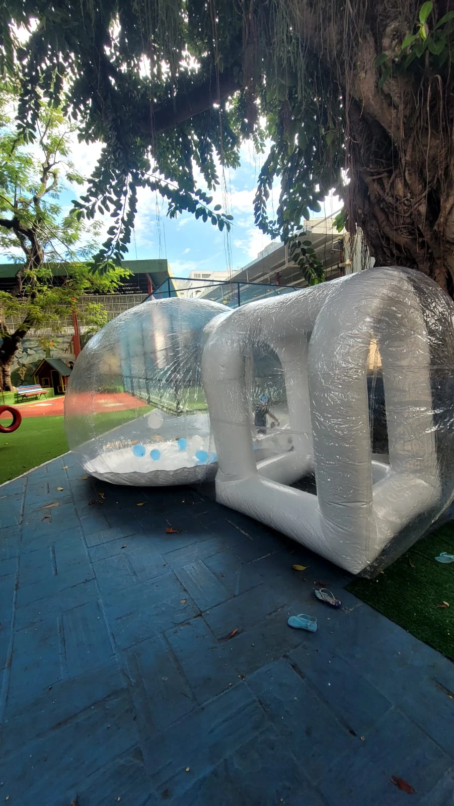Alugar bubble house