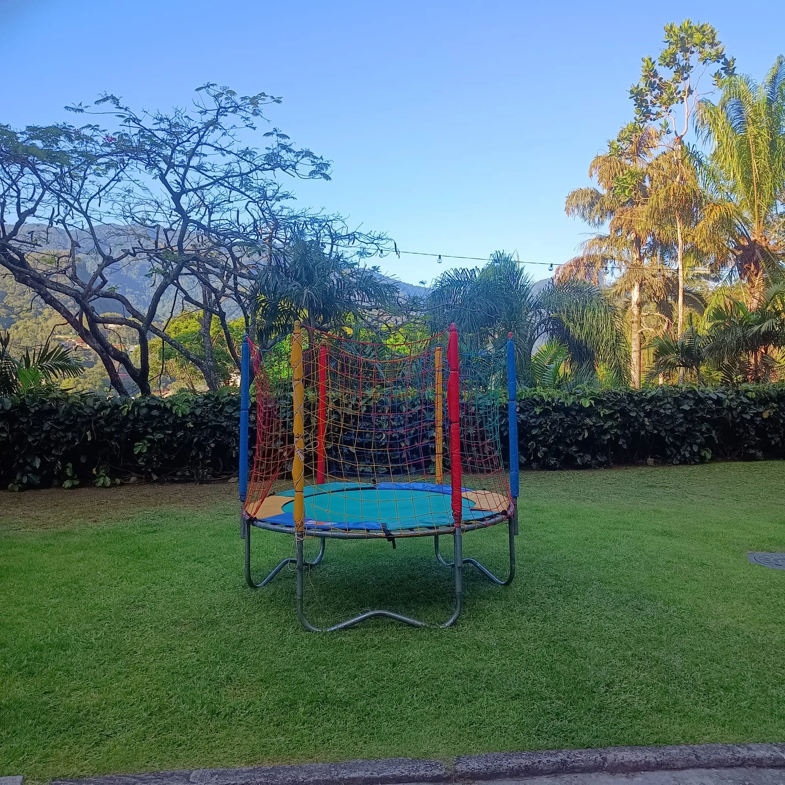 Aluguel cama elástica pequena